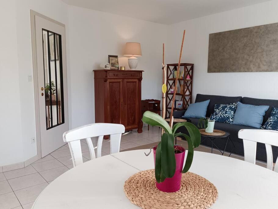 Strasbourg 3 Pieces Avec Jardin Apartment Brumath Exterior photo