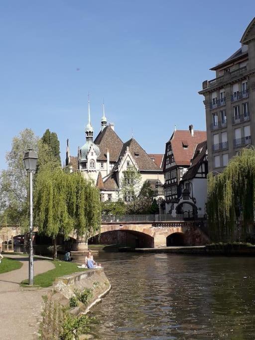 Strasbourg 3 Pieces Avec Jardin Apartment Brumath Exterior photo